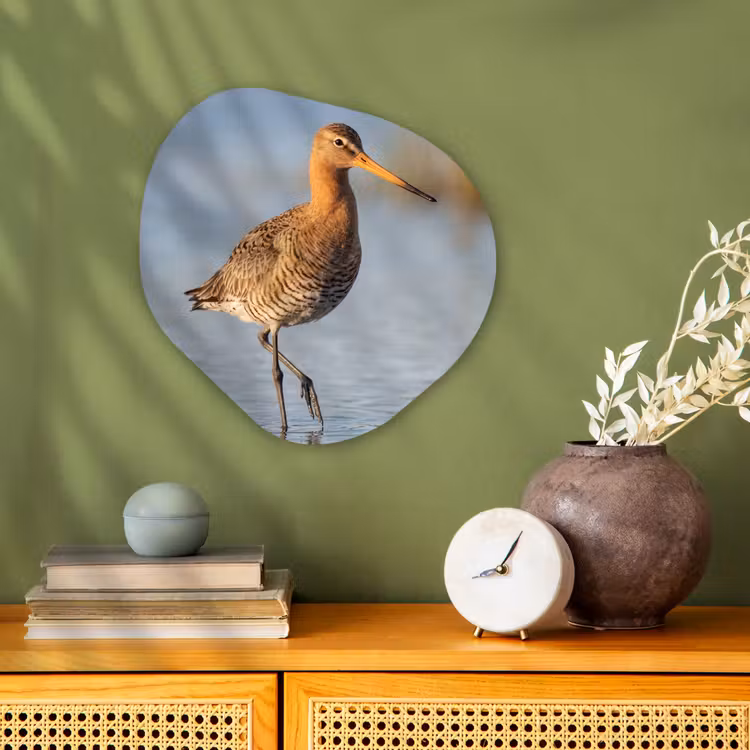 Organisch schilderij - Forex - Vogel - Steltloper - Water - Natuur — 2