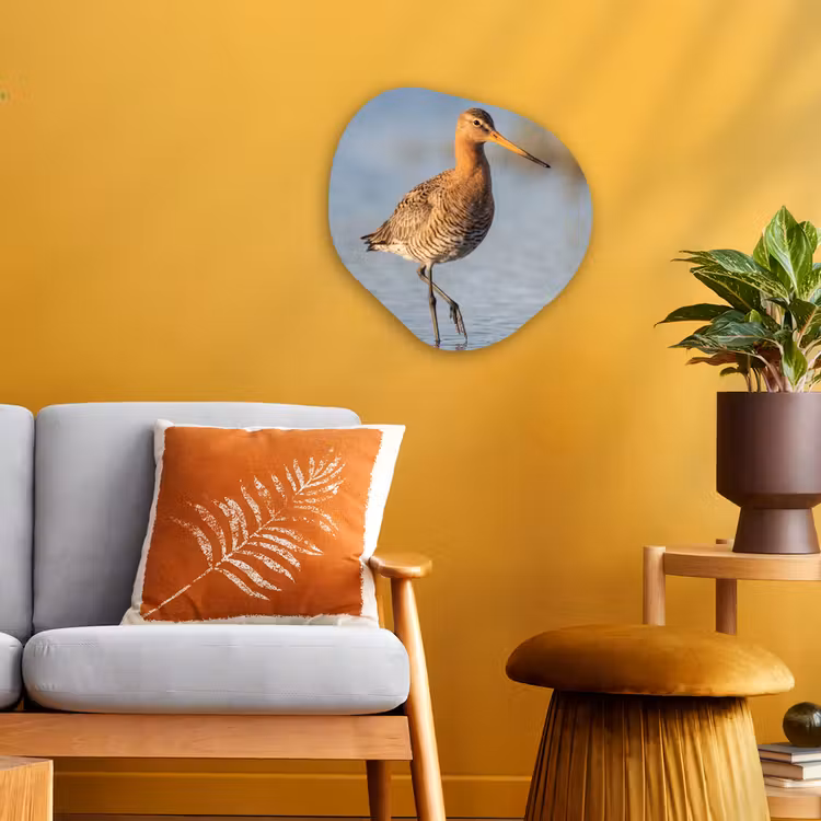 Organisch schilderij - Forex - Vogel - Steltloper - Water - Natuur — 3