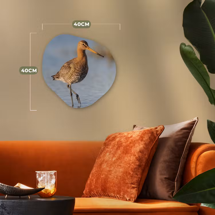 Organisch schilderij - Forex - Vogel - Steltloper - Water - Natuur — 4