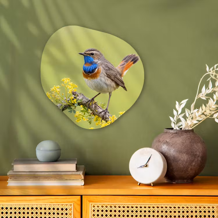 Organisch schilderij - Forex - Vogel - Tak - Natuur - Kleurrijk — 2