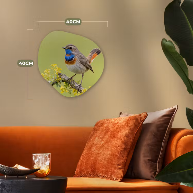 Organisch schilderij - Forex - Vogel - Tak - Natuur - Kleurrijk — 4