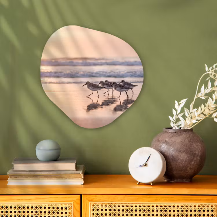 Organisch schilderij - Forex - Zee - Vogels - Strand — 2