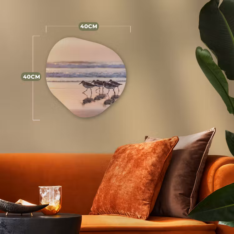 Organisch schilderij - Forex - Zee - Vogels - Strand — 4