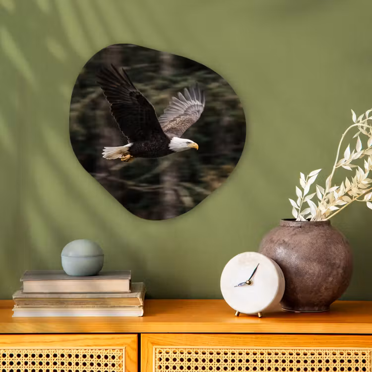 Organisch schilderij - Forex - Zeearend - Vliegen - Bos - Natuur — 2
