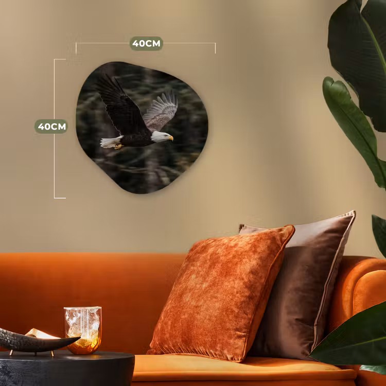 Organisch schilderij - Forex - Zeearend - Vliegen - Bos - Natuur — 4