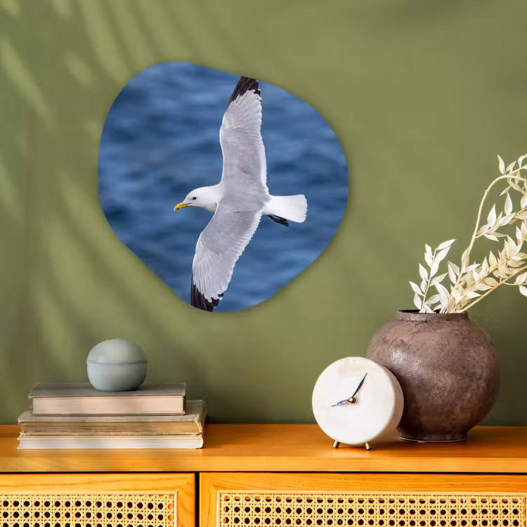 Organisch schilderij - Forex - Zeemeeuw - Oceaan - Blauw — 2