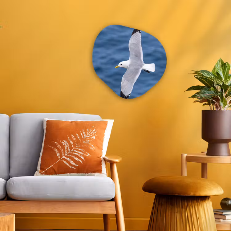 Organisch schilderij - Forex - Zeemeeuw - Oceaan - Blauw — 3