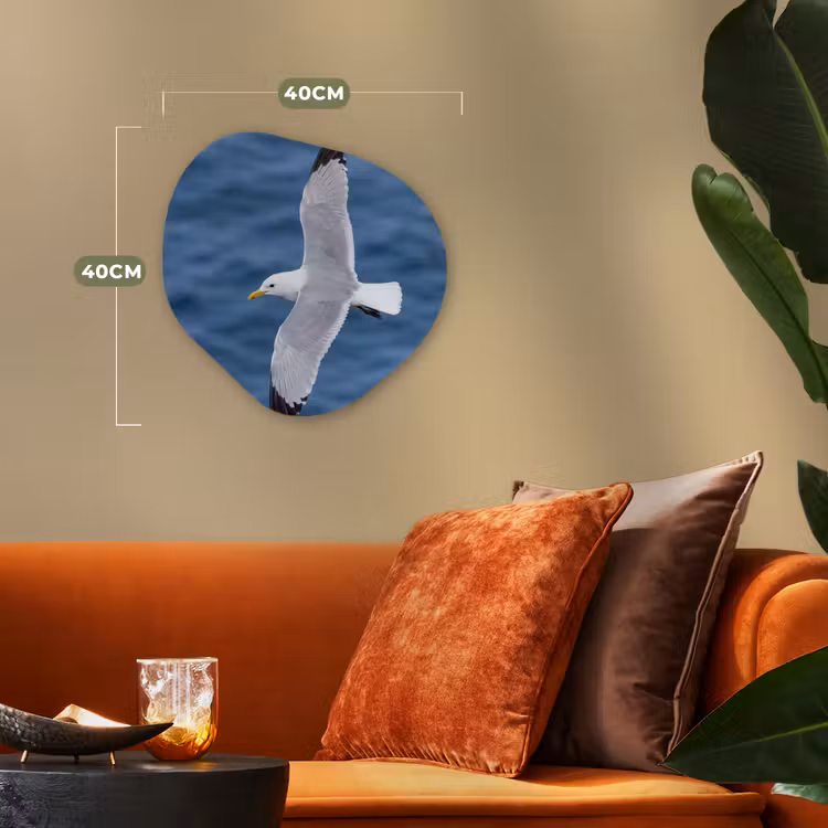 Organisch schilderij - Forex - Zeemeeuw - Oceaan - Blauw — 4
