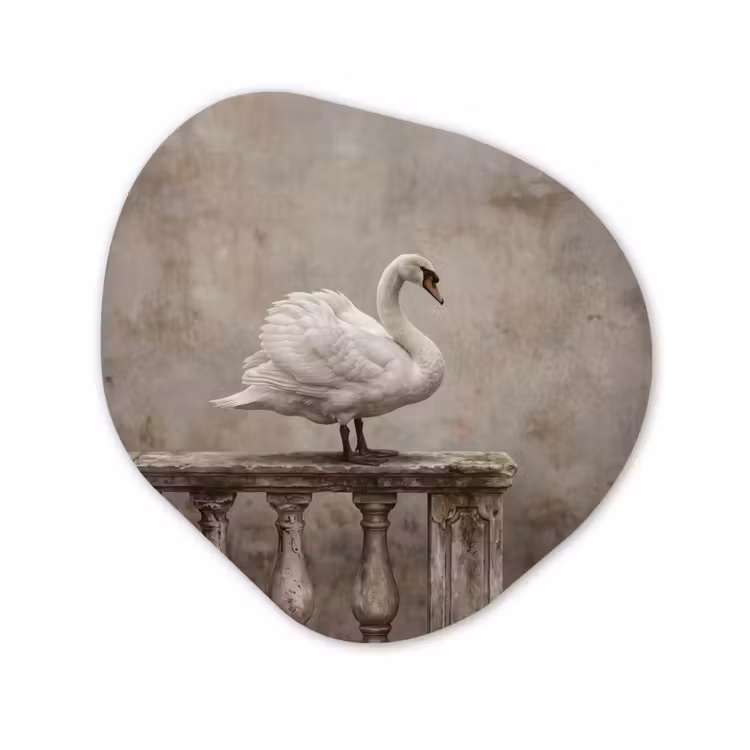 Organisch schilderij - Forex - Zwaan - Elegant - Dieren - Wit — 1