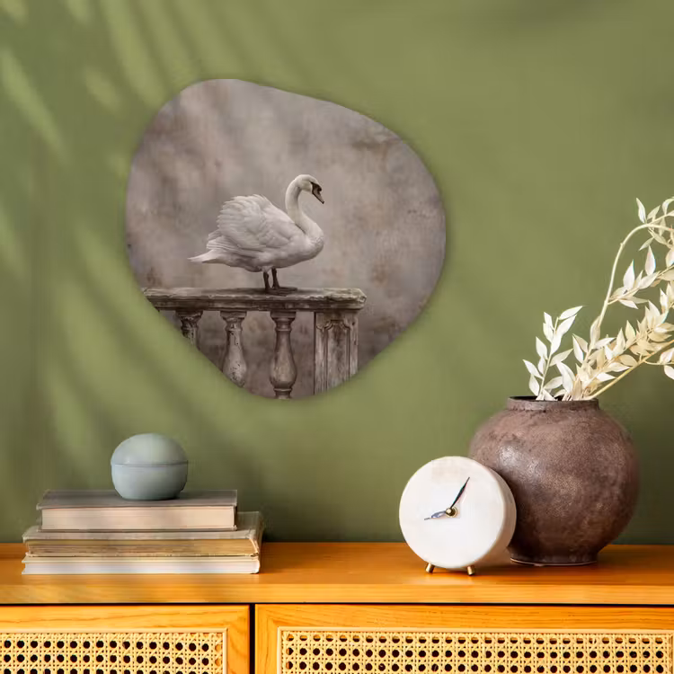 Organisch schilderij - Forex - Zwaan - Elegant - Dieren - Wit — 2