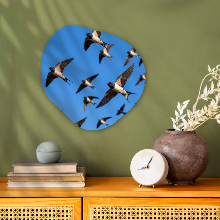 Organisch schilderij - Forex - Zwaluwen - Vliegen - Blauw — 2