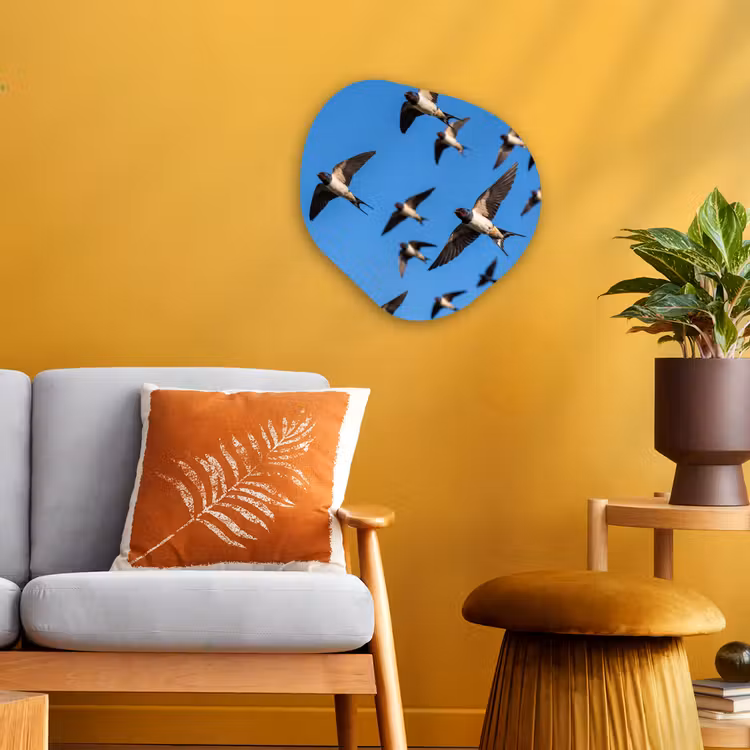 Organisch schilderij - Forex - Zwaluwen - Vliegen - Blauw — 3