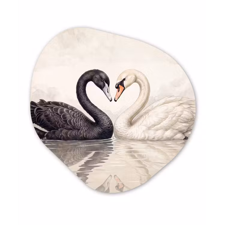 Organisch schilderij - Forex - Zwanen - Hartvorm - Dieren — 1