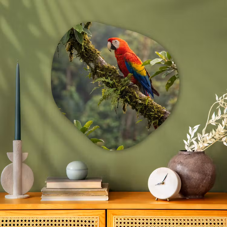 Organische vorm aluminium - Ara - Jungle - Rood — 2