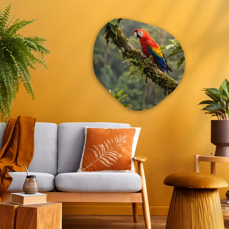 Organische vorm aluminium - Ara - Jungle - Rood — 3