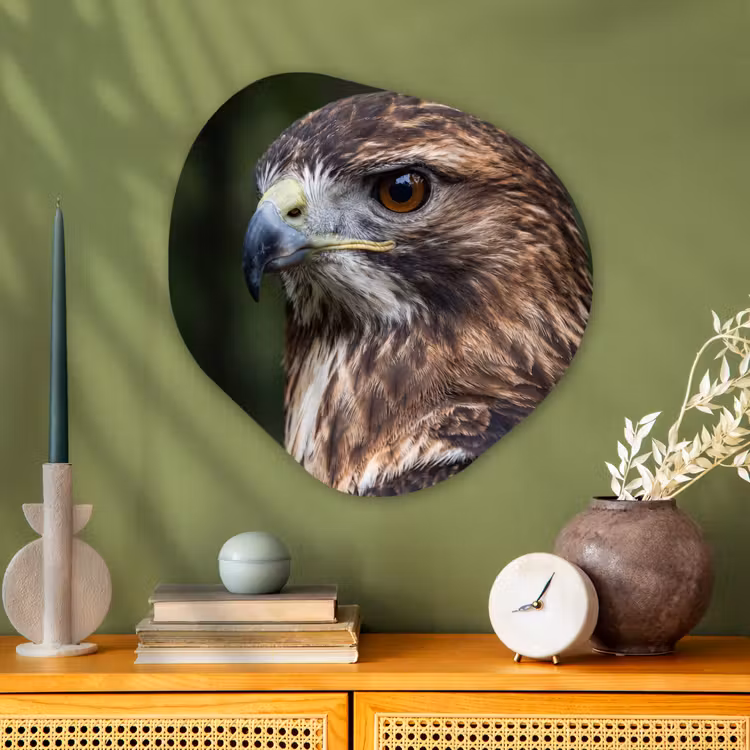 Organische vorm aluminium - Buizerd - Roofvogel - Natuur - Bruin — 2