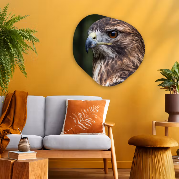 Organische vorm aluminium - Buizerd - Roofvogel - Natuur - Bruin — 3