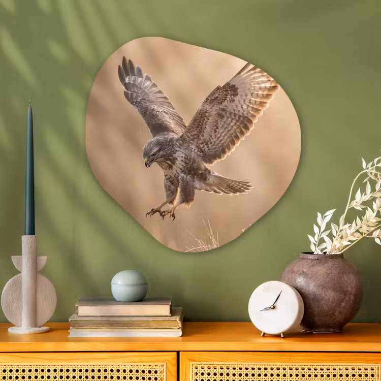 Organische vorm aluminium - Buizerd - Roofvogel - Natuur - Bruin — 2