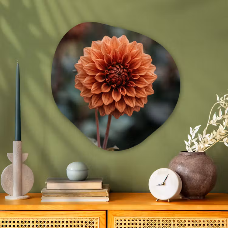 Organische vorm aluminium - Dahlia - Bloem - Natuur - Sfeervol — 2