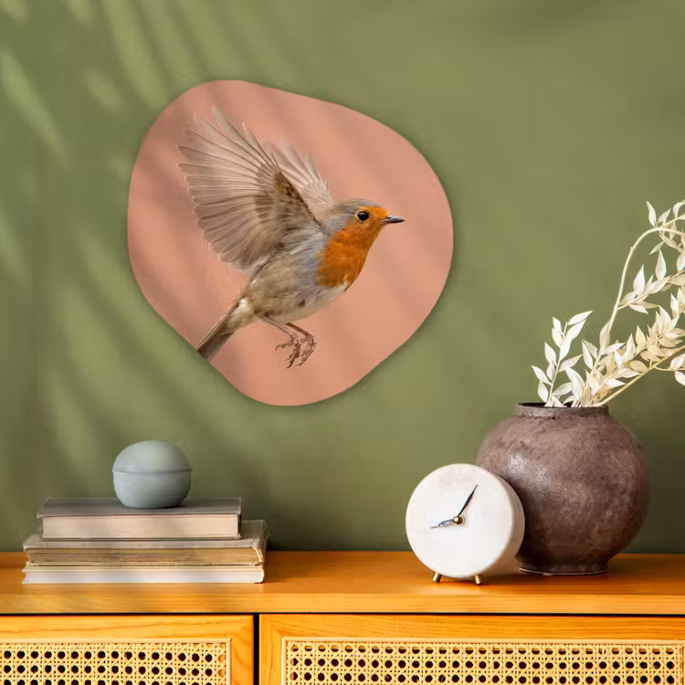 Organisch schilderij - Forex - Roodborst - Natuur - Roze — 2