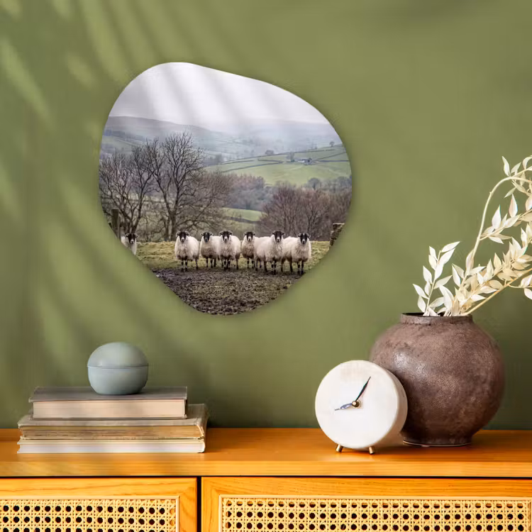 Organisch schilderij - Forex - Schapen - Rij - Weide - Dieren - Platteland — 2