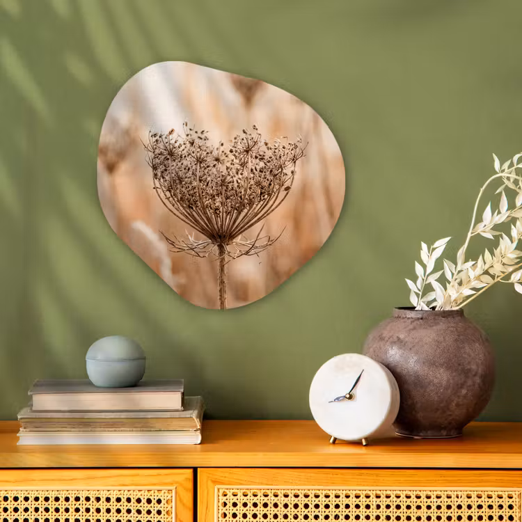 Organisch schilderij - Forex - Schermbloem - Droogbloem - Winter - Beige - Minimalistisch — 2