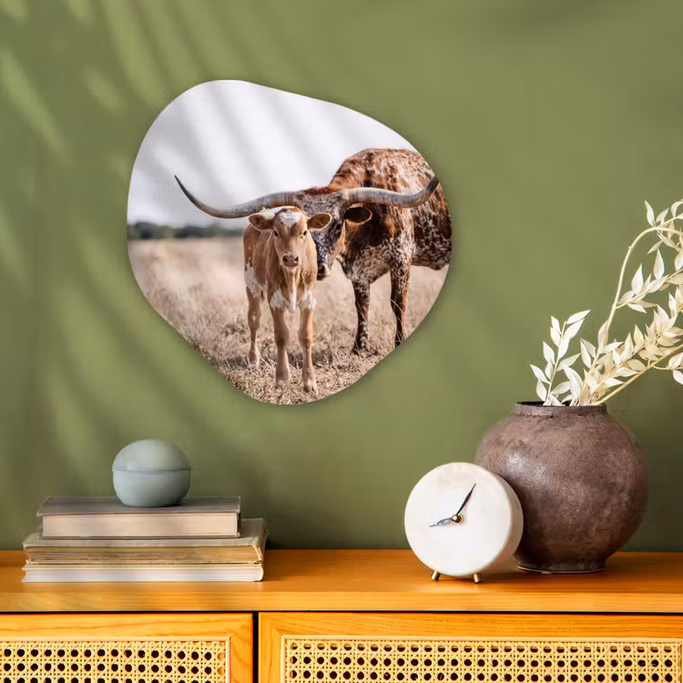 Organisch schilderij - Forex - Texas Longhorn - Kalf - Weide - Dieren — 2