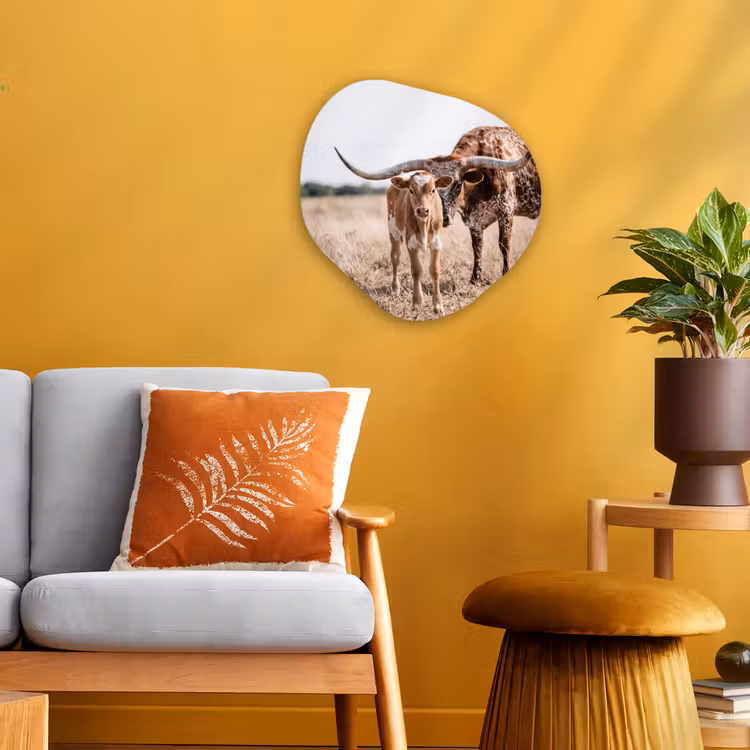 Organisch schilderij - Forex - Texas Longhorn - Kalf - Weide - Dieren — 3