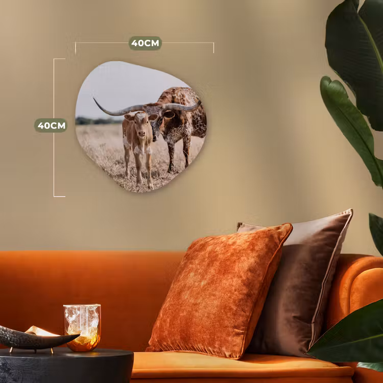 Organisch schilderij - Forex - Texas Longhorn - Kalf - Weide - Dieren — 4