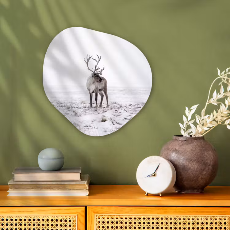 Organisch schilderij - Forex - Rendier - Gewei - Sneeuw - Winter — 2