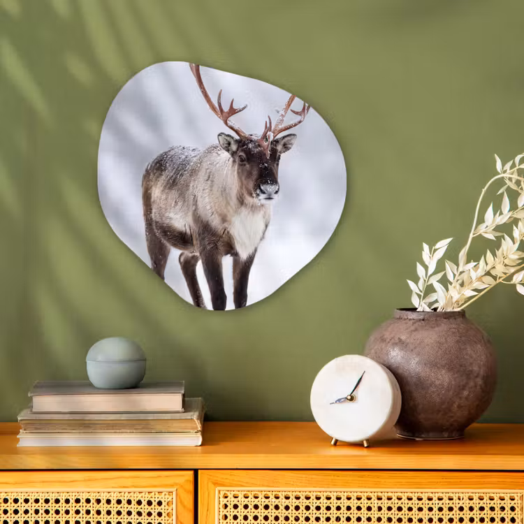 Organisch schilderij - Forex - Rendier - Gewei - Toendra - Sneeuw - Wild — 2