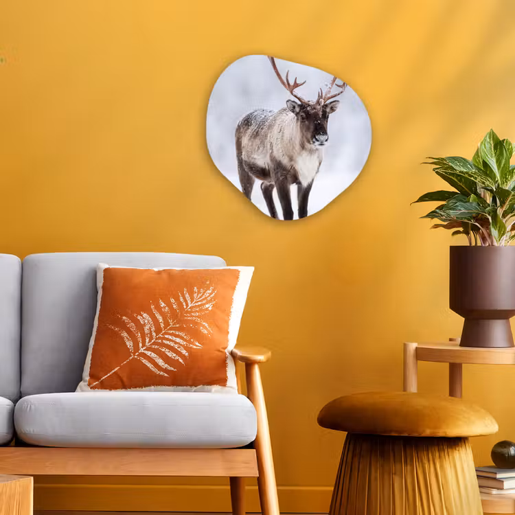 Organisch schilderij - Forex - Rendier - Gewei - Toendra - Sneeuw - Wild — 3