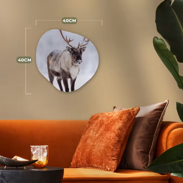 Organisch schilderij - Forex - Rendier - Gewei - Toendra - Sneeuw - Wild — 4