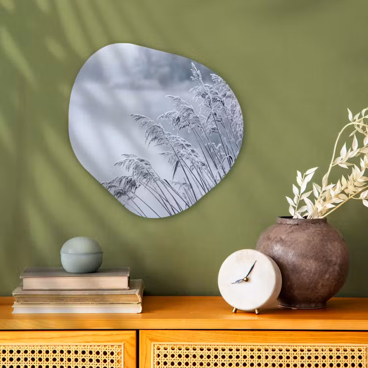Organisch schilderij - Forex - Riet - Bevroren - Winter - Natuur — 2