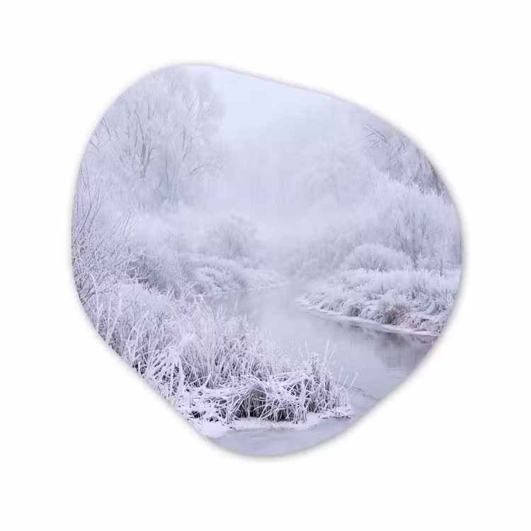 Organisch schilderij - Forex - Rivier - Sneeuw - Bos - Winter - Schilderachtig — 1