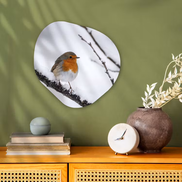 Organisch schilderij - Forex - Roodborstje - Tak - Sneeuw - Winter - Levendig — 2