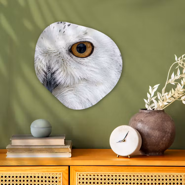 Organisch schilderij - Forex - Sneeuwuil - Oog - Wildlife - Wit — 2