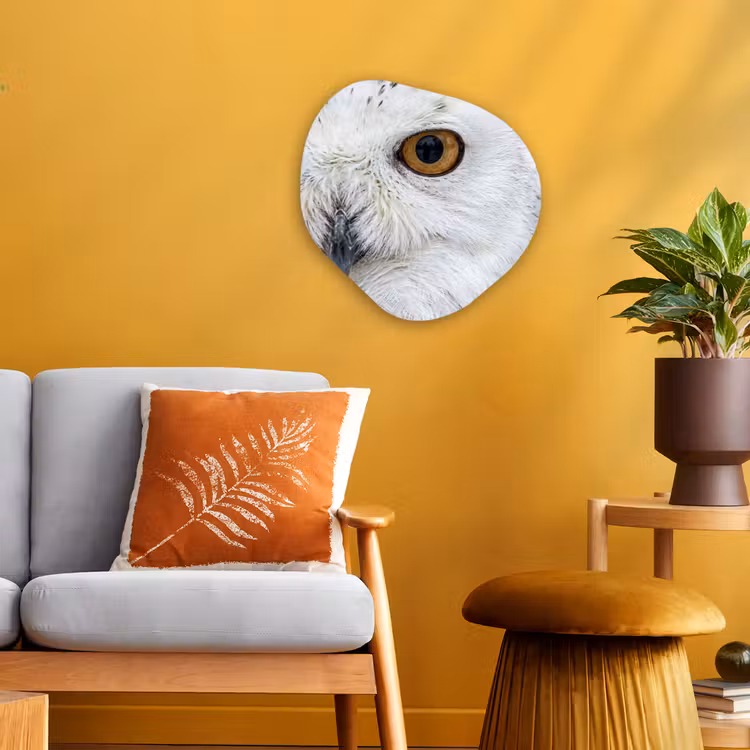 Organisch schilderij - Forex - Sneeuwuil - Oog - Wildlife - Wit — 3