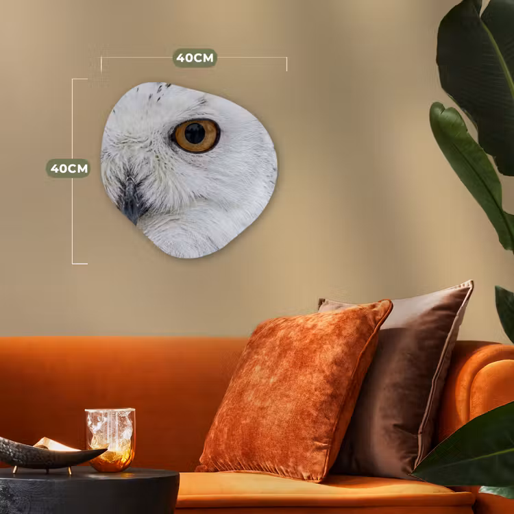 Organisch schilderij - Forex - Sneeuwuil - Oog - Wildlife - Wit — 4