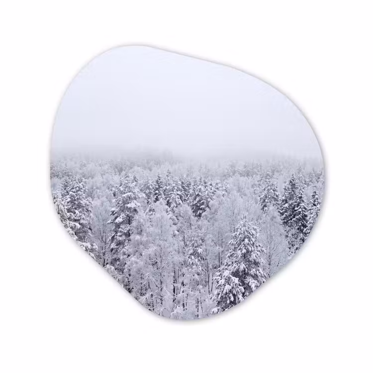 Organische vorm aluminium - Bos - Sneeuw - Winter - Natuur - Wit — 1