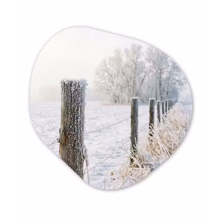 Organische vorm aluminium - Hek - Sneeuw - Mist - Platteland - Nostalgisch — 1