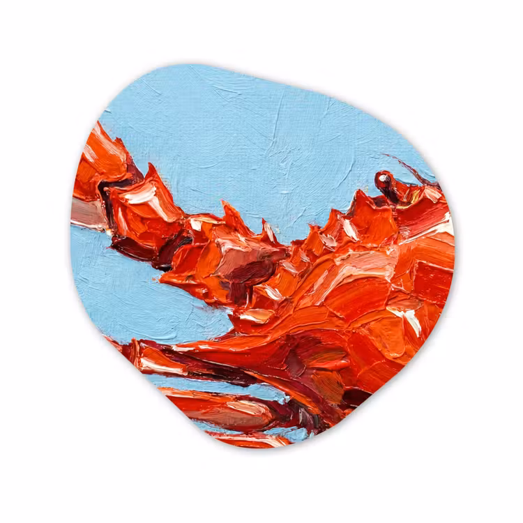 Organische vorm aluminium - Krab - Zee - Dieren - Abstract - Rood — 1