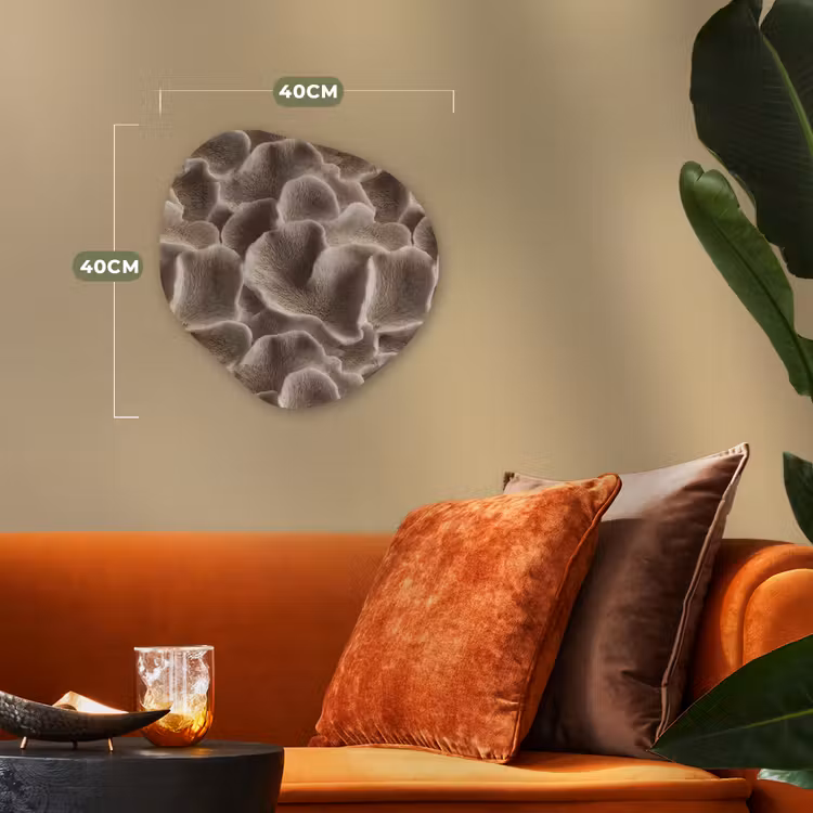 Organisch schilderij - Forex - Waaiervorm - Beige - Vezel textuur — 4