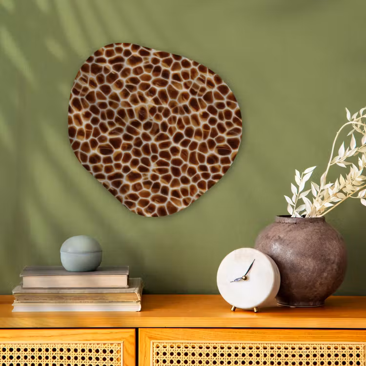 Organisch schilderij - Forex - Schildpad - Bruin - Patroon — 2