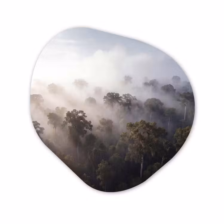 Organische vorm aluminium - Bos - Mist - Natuur - Groen — 1