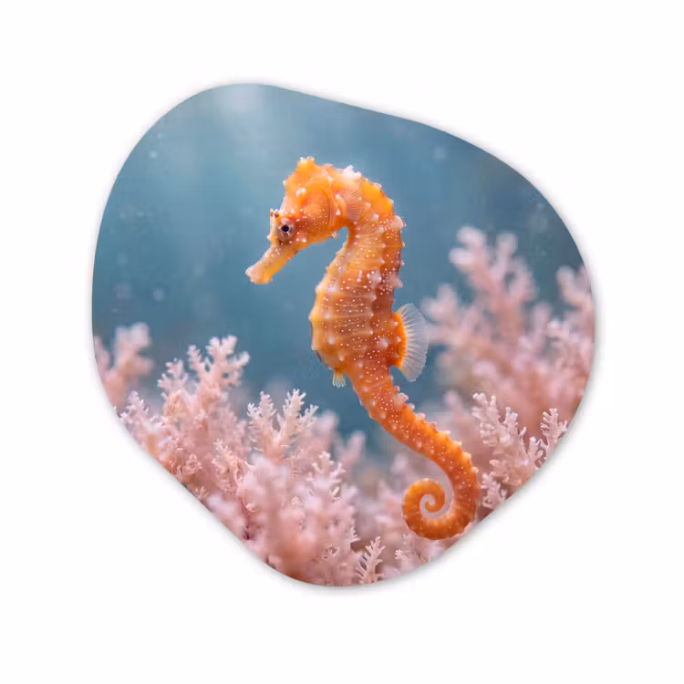 Organisch schilderij - Forex - Vis - Koraal - Oceaan - Macro - Oranje — 1