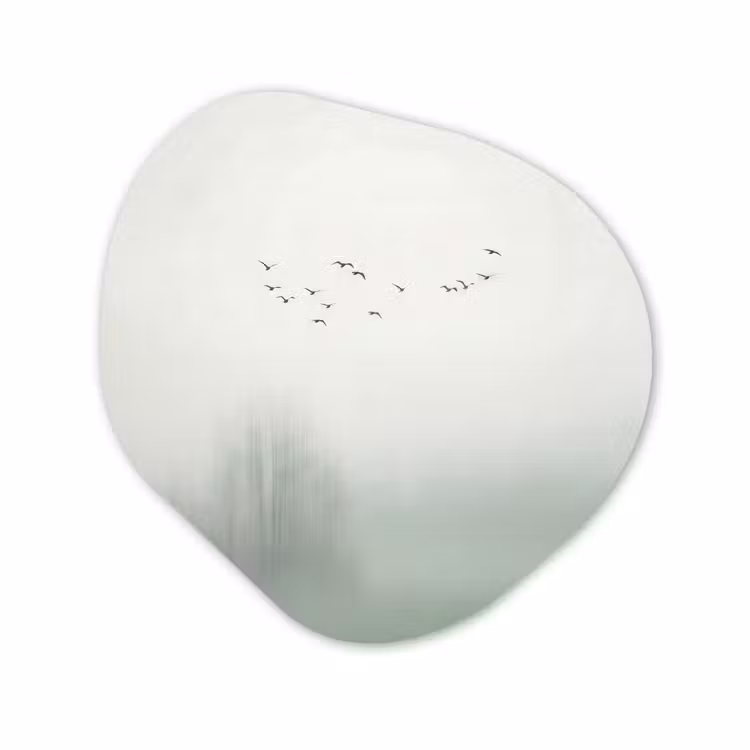Organisch schilderij - Forex - Vogel - Vlucht - Natuur - Minimalistisch — 1