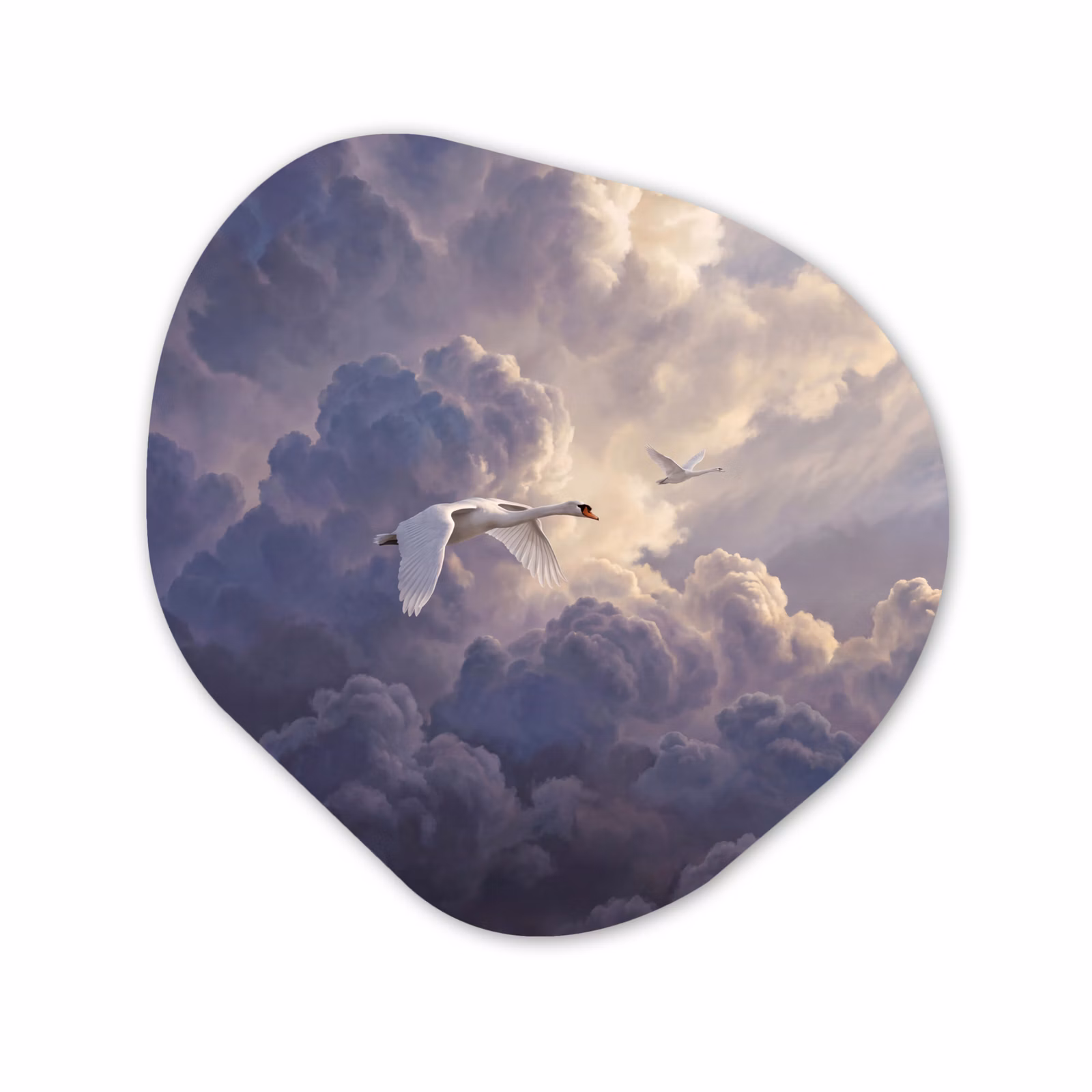 Organisch schilderij - Forex - Vogel - Vliegend - Natuur - Wit - Wolken — 1