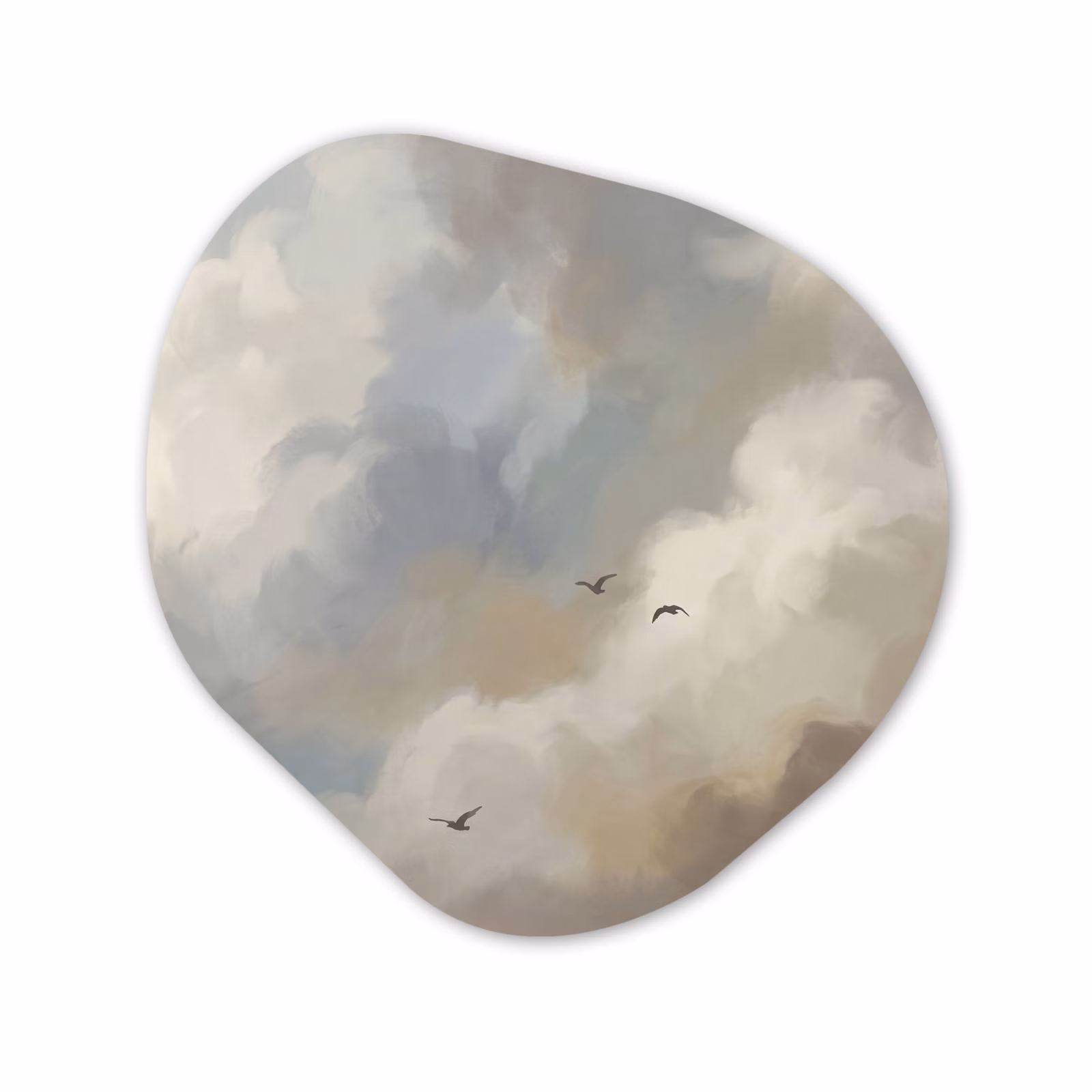 Organisch schilderij - Forex - Vogel - Wolken - Natuur - Modern - Grijs — 1