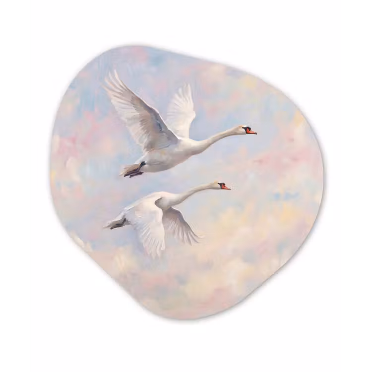 Organisch schilderij - Forex - Vogel - Vliegend - Lucht - Modern - Pastel — 1